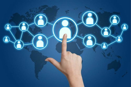 洪湖網絡推廣 免費試用100天，每月前300名專享技術推廣服務